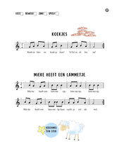 Load image into Gallery viewer, Toot & Hoot Fluit Methode - Boek 1 (PDF, Dutch)