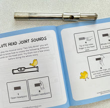 Load image into Gallery viewer, Two Silly Birds for Flute Headjoint and Narrator