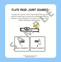 Load image into Gallery viewer, Two Silly Birds - for Flute Headjoint and Narrator PDF
